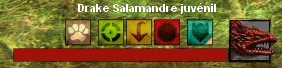 familier gw2 barre des competences