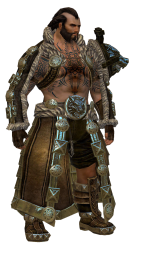 guildwars 2 race norn