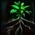 toutes_les_choses_ont_le_droit_de_grandir_sylvaris_gw2_guildwars2_guildwars_2